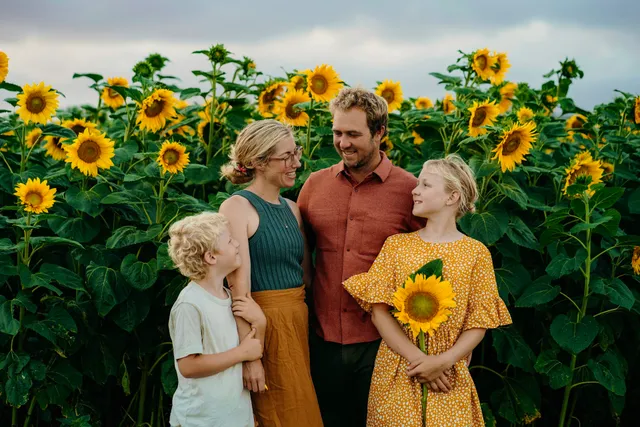 Franklin Farm Waimauku - Sunflower Fields & Butterfly House