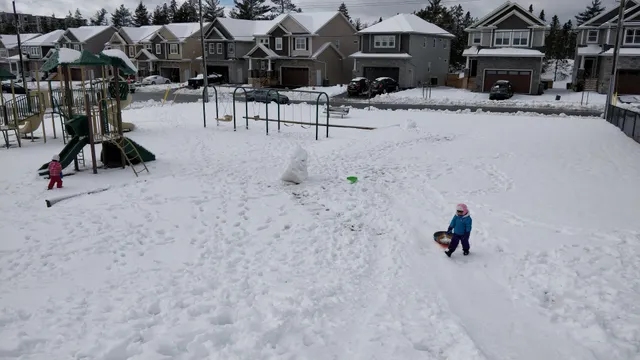 Cascades Community Playground