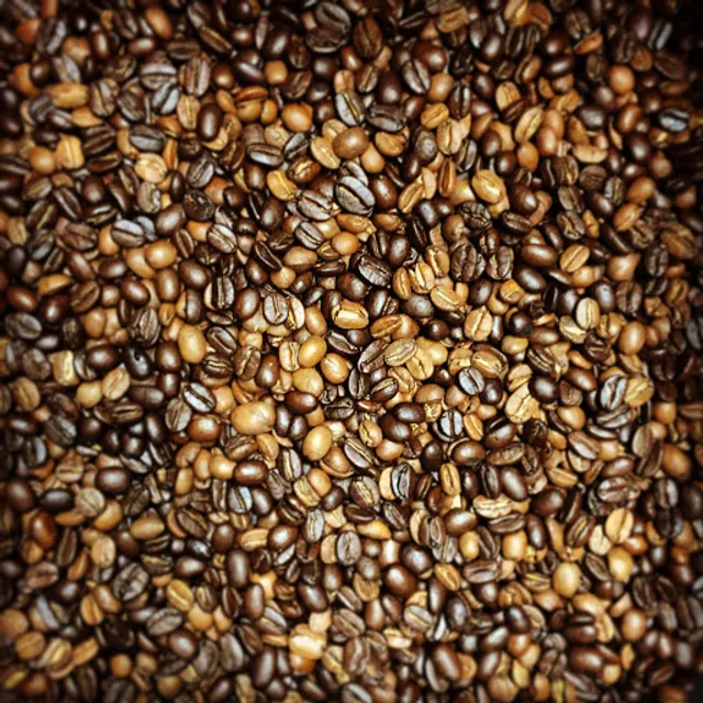 Sacred Grounds Coffee Roasters