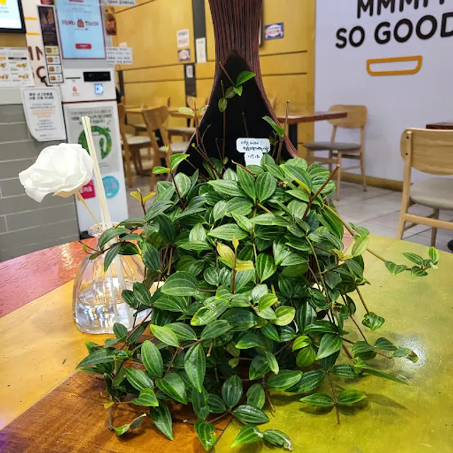 Mom's Touch Samsongdongsango