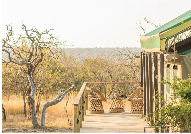 Timbavati Safari Lodge