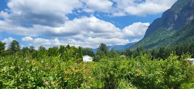 Washington Alpine Club