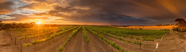 Velvet & Willow Wines - Cellar Door, Cafe and Pantry