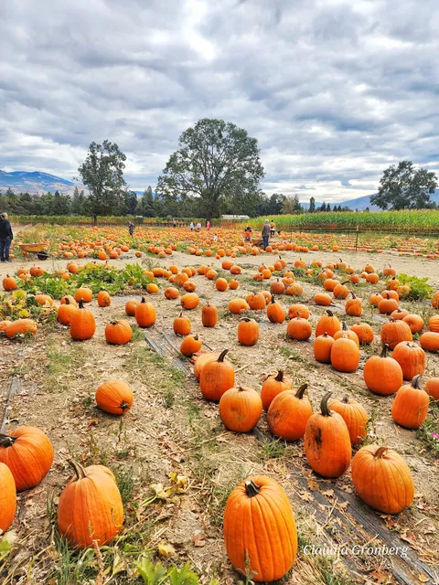 Pheasant Fields Farm