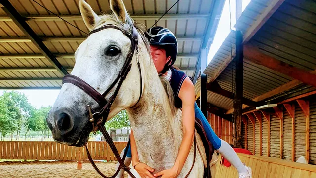 Le Haras Des Ouches, Equestrian Center Carré Médicis
