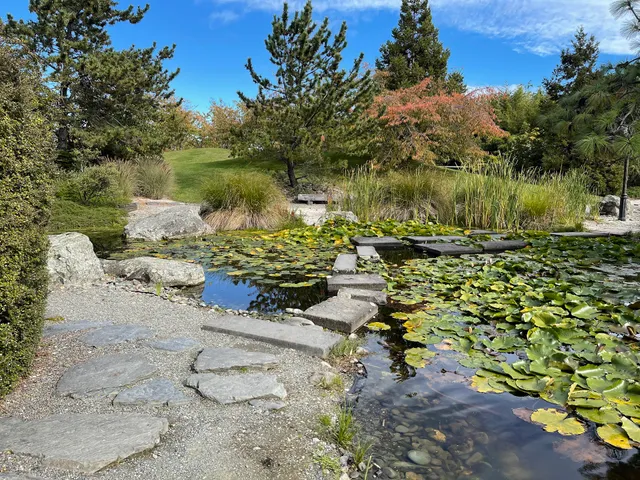 Miyazu Japanese Garden