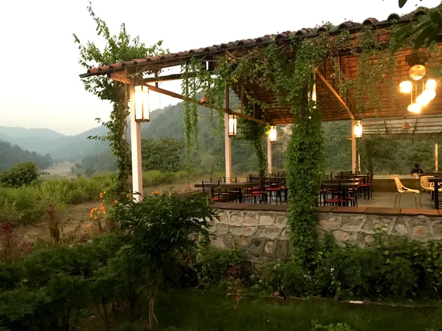 Shoolin Jungle Resort, Rajaji National Park