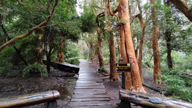 Sendero de los Arrayanes