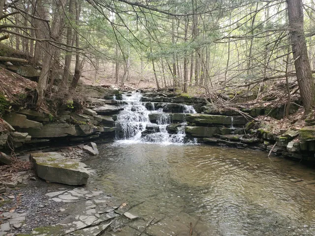 Wolf Creek Falls Preserve