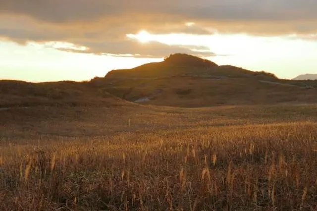 Tengu Highlands Therapy Road