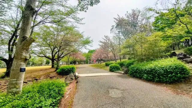 Mamadautsukushigaoka Park