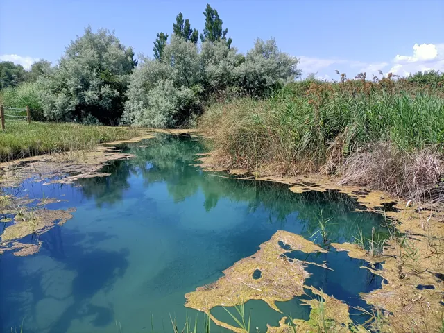 Espacio Natural: Ojos del Pontil