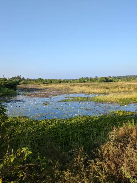 Dahanu