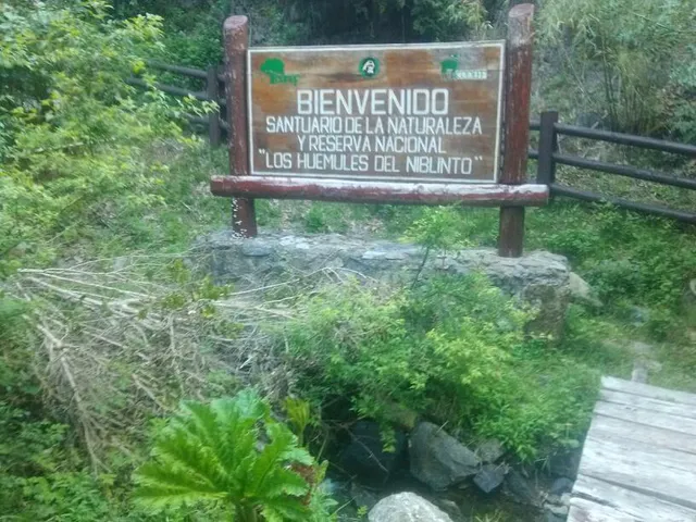 National Reserve Los Huemules de Niblinto