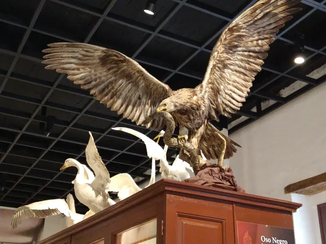 Museo Universitario de Historia Natural "Dr. Manuel M.Villada"