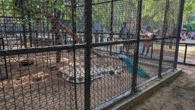 Guindy Children's Nature Park