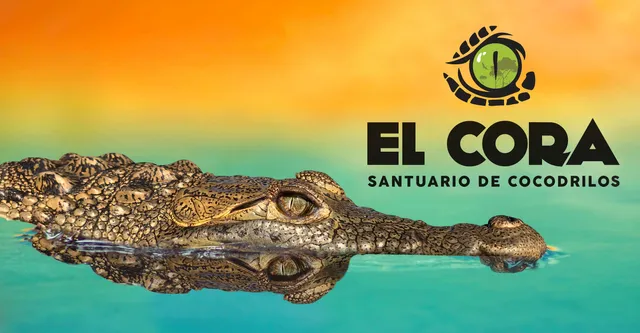 El Cora Crocodile Sanctuary