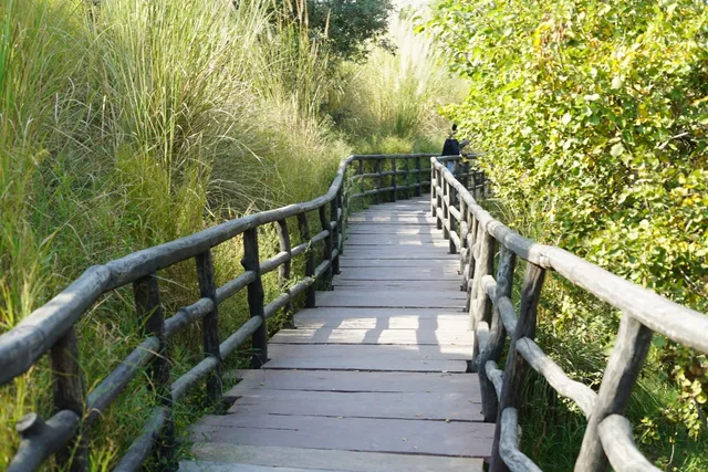 Kishan Bagh Desert Park Jaipur