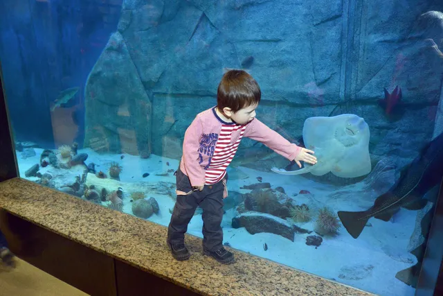 Musée du Fjord (Fjord Museum)