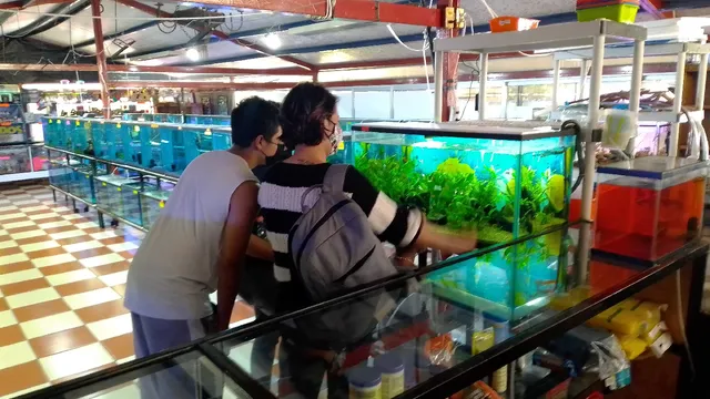 Acuario Tlaxcala, Acuatlax