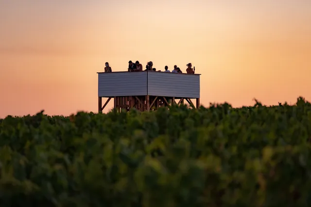 Château La Tour Blanche