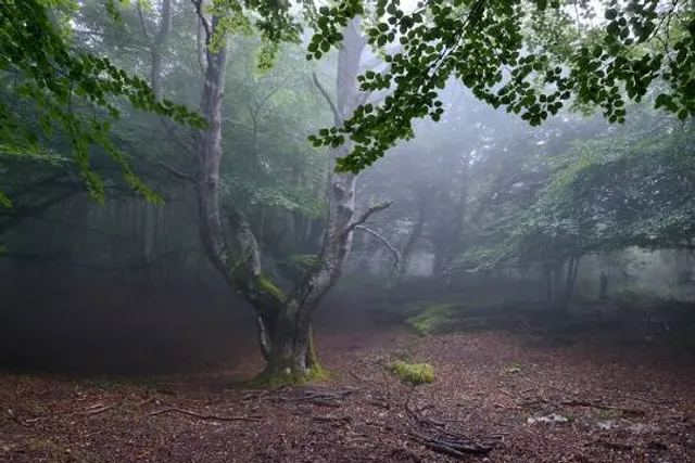 Monumento natural Monte Santiago (Burgos)