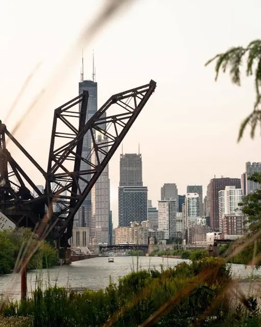 Ping Tom Red Dragons Swim team