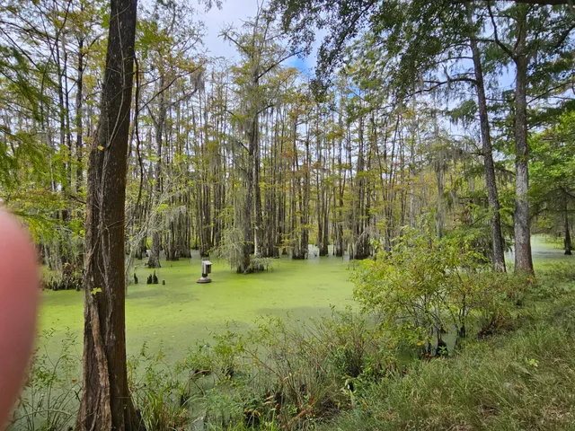 Dungannon Plantation Heritage Preserve/Wildlife Management Area