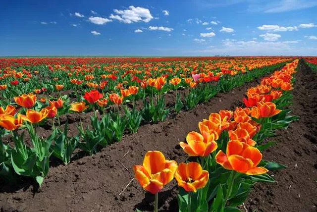 Bãi Biển Thừa Đức