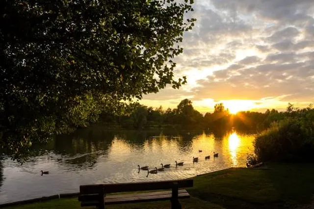Needham Lake Local Nature Reserve