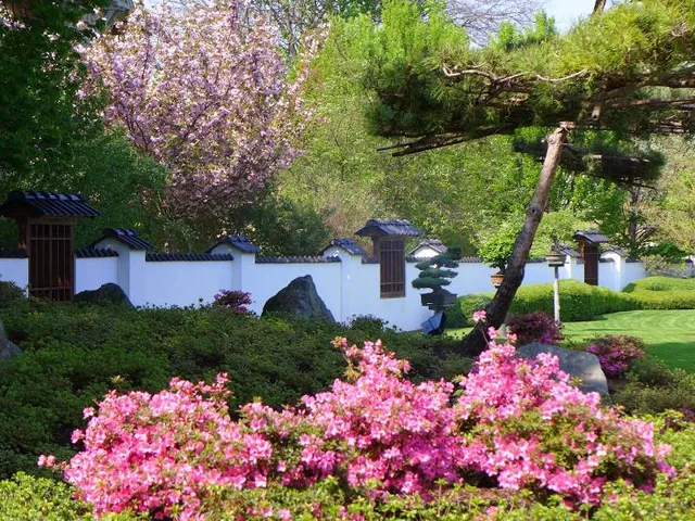 Japanese Garden Bad Langensalza