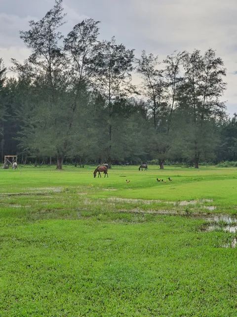 Rodriguez Ranch San Marcelino