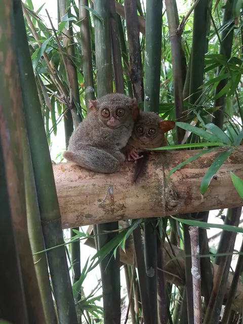 Kebun Binatang Tandurusa