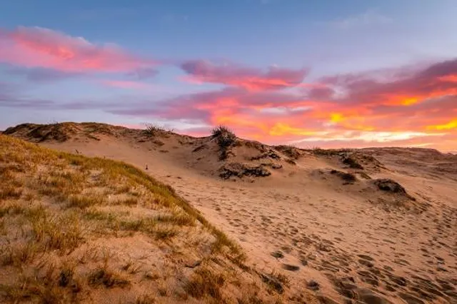 Marina Dunes Preserve