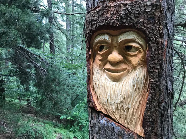 Sentiero Remo Einaudi