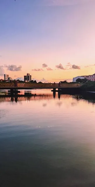 Ponte de Ferro Rio das Antas