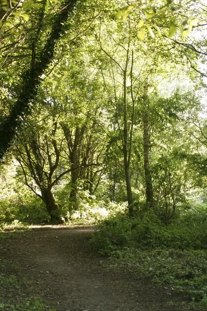 Marconi Ponds Nature Reserve