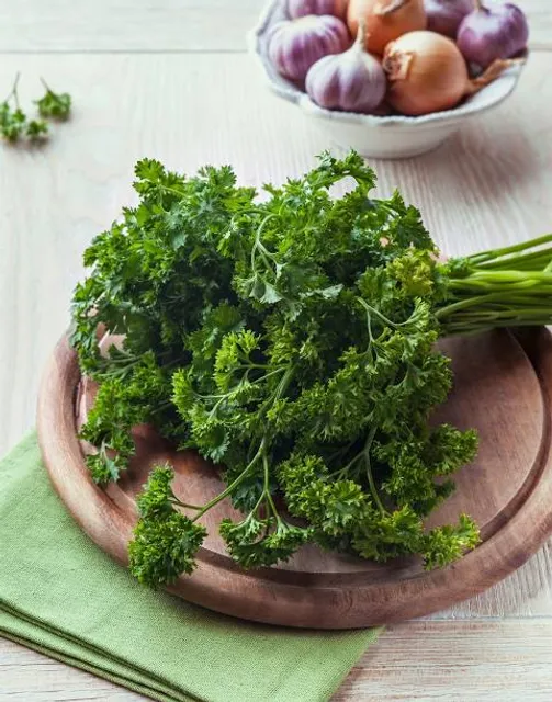 Vallesone Domodossola