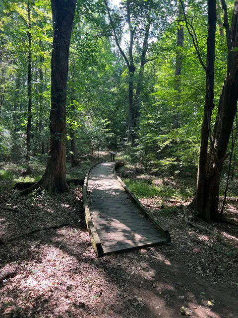 Seven Oaks Preserve Trail