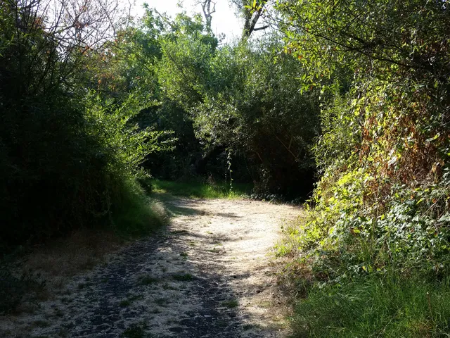 Stivers Lagoon Nature Area