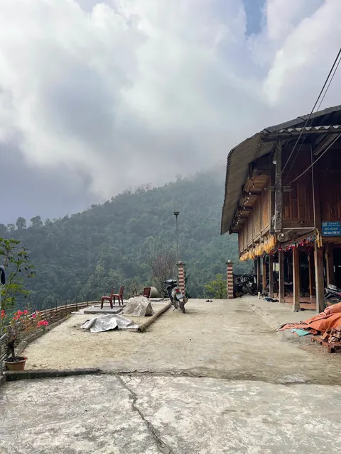 HOMESTAY and TÂY CÔN LĨNH TEA