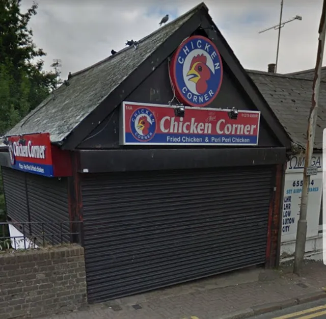 Chicken Corner GO GO 🦉
