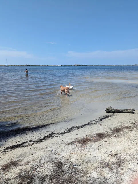 Liza Jackson Dog Park