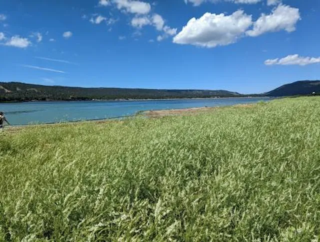 Juniper Point Picnic Area