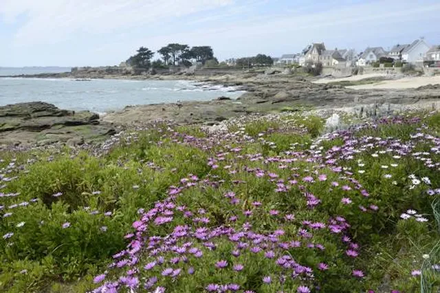Plage de Port Fontaine