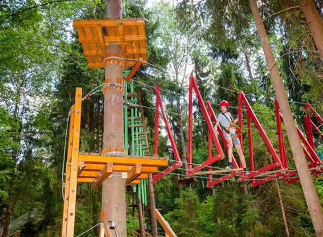 Treetop Adventure Course