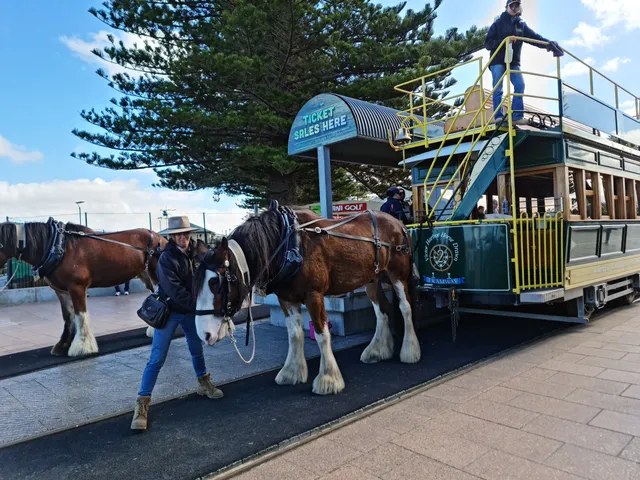 City of Victor Harbor