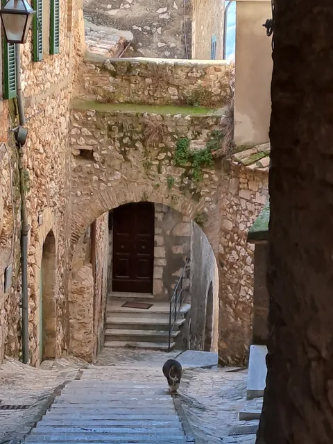 Museo del Monastero delle Orsoline e Collezione Chiomenti-Vassalli