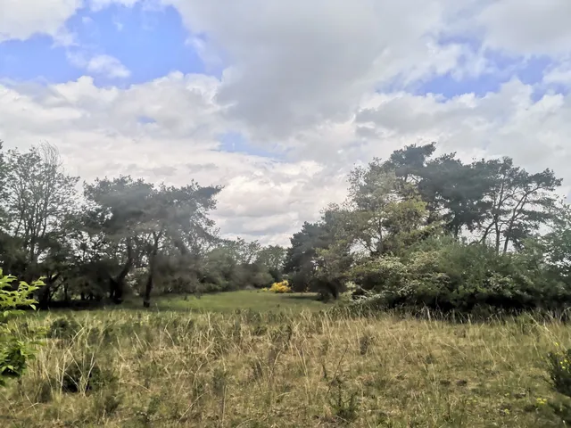 Griesheim dune and Eichwäldchen
