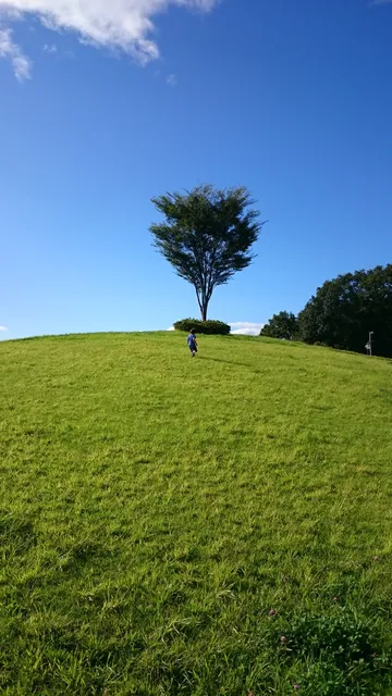 Kamisakuragi Itchome Dai 1 Park